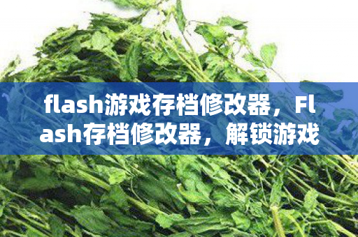 flash游戏存档修改器,Flash存档修改器,解锁游戏新世界的钥匙 flash游戏存档修改器,Flash存档修改器,解锁游戏新世界的钥匙