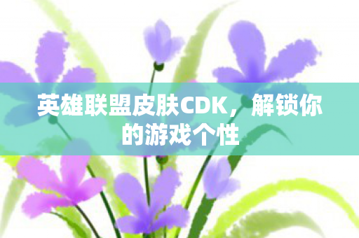 英雄联盟皮肤CDK,解锁你的游戏个性 英雄联盟皮肤CDK,解锁你的游戏个性