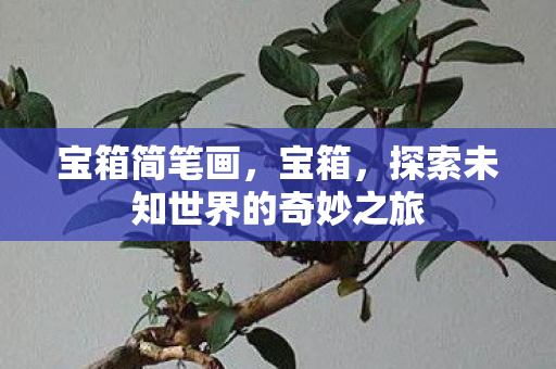 宝箱简笔画,宝箱,探索未知世界的奇妙之旅 宝箱简笔画,宝箱,探索未知世界的奇妙之旅
