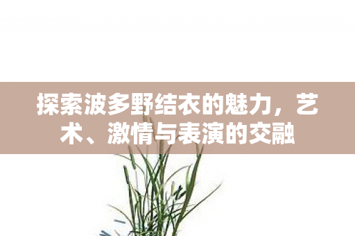探索波多野结衣的魅力,艺术、激情与表演的交融 探索波多野结衣的魅力,艺术、激情与表演的交融