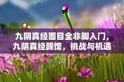 九阴真经面目全非脚入门,九阴真经踢馆,挑战与机遇并存的江湖之旅 九阴真经面目全非脚入门,九阴真经踢馆,挑战与机遇并存的江湖之旅