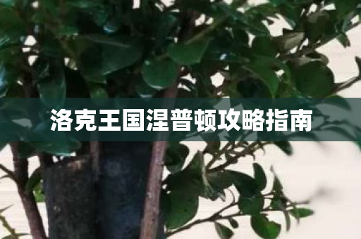 洛克王国涅普顿攻略指南 洛克王国涅普顿攻略指南