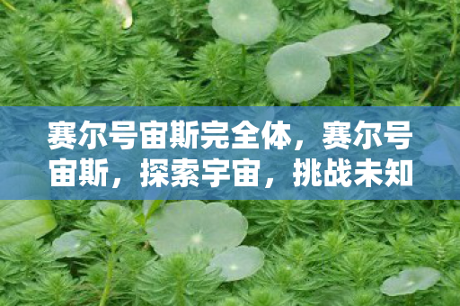 赛尔号宙斯完全体,赛尔号宙斯,探索宇宙,挑战未知 赛尔号宙斯完全体,赛尔号宙斯,探索宇宙,挑战未知