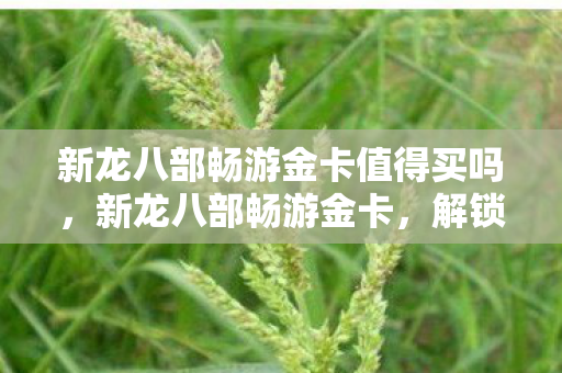 新龙八部畅游金卡值得买吗，新龙八部畅游金卡，解锁你的武侠世界之旅