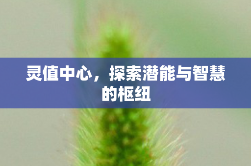 灵值中心,探索潜能与智慧的枢纽 灵值中心,探索潜能与智慧的枢纽