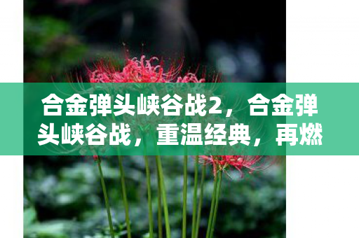 合金弹头峡谷战2，合金弹头峡谷战，重温经典，再燃战火