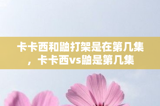卡卡西和鼬打架是在第几集，卡卡西vs鼬是第几集