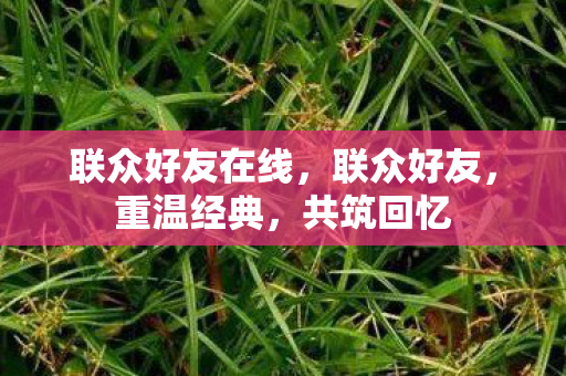 联众好友在线，联众好友，重温经典，共筑回忆