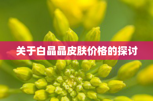 关于白晶晶皮肤价格的探讨 关于白晶晶皮肤价格的探讨