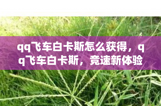 qq飞车白卡斯怎么获得,qq飞车白卡斯,竞速新体验,赛道新挑战 qq飞车白卡斯怎么获得,qq飞车白卡斯,竞速新体验,赛道新挑战