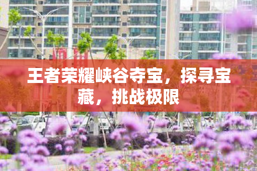 王者荣耀峡谷夺宝,探寻宝藏,挑战极限 王者荣耀峡谷夺宝,探寻宝藏,挑战极限