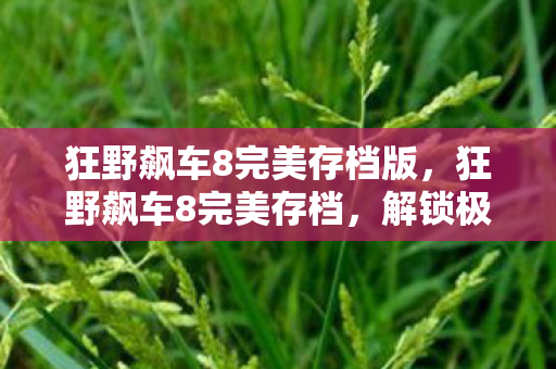 狂野飙车8完美存档版,狂野飙车8完美存档,解锁极速驾驶的终极秘籍 狂野飙车8完美存档版,狂野飙车8完美存档,解锁极速驾驶的终极秘籍