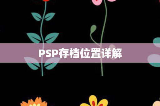 PSP存档位置详解