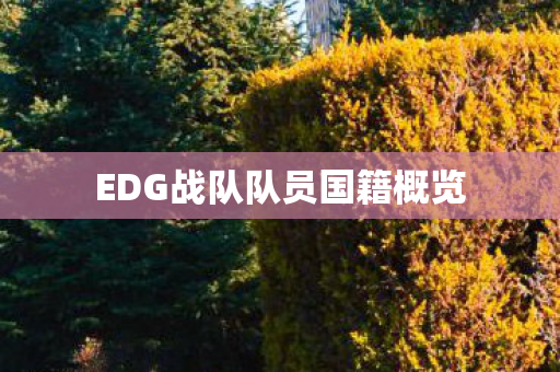 EDG战队队员国籍概览 EDG战队队员国籍概览