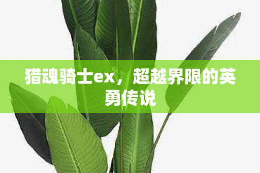 猎魂骑士ex,超越界限的英勇传说 猎魂骑士ex,超越界限的英勇传说