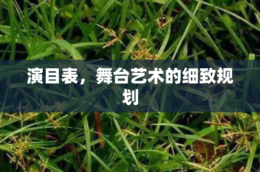 演目表,舞台艺术的细致规划 演目表,舞台艺术的细致规划