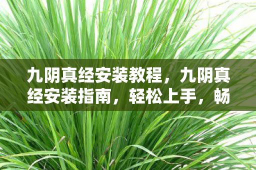 九阴真经安装教程,九阴真经安装指南,轻松上手,畅游武侠世界 九阴真经安装教程,九阴真经安装指南,轻松上手,畅游武侠世界