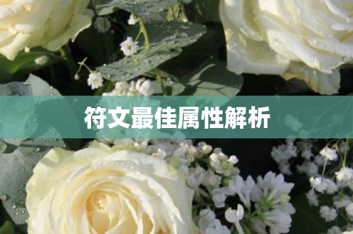 符文最佳属性解析 符文最佳属性解析