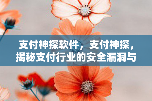 支付神探软件，支付神探，揭秘支付行业的安全漏洞与防范措施