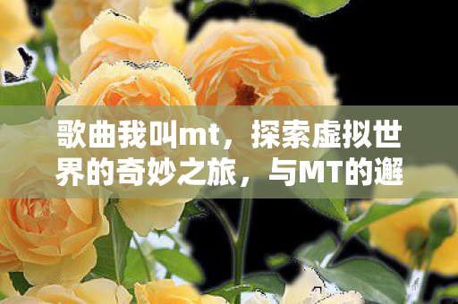 歌曲我叫mt，探索虚拟世界的奇妙之旅，与MT的邂逅