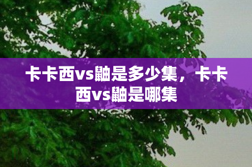 卡卡西vs鼬是多少集，卡卡西vs鼬是哪集