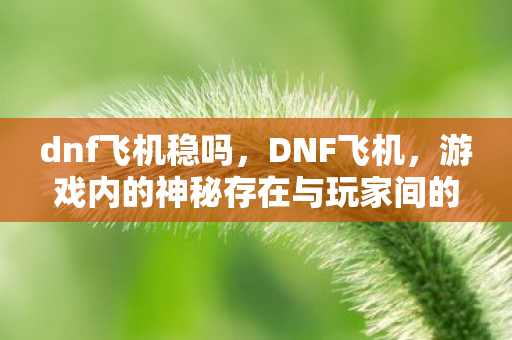 dnf飞机稳吗,DNF飞机,游戏内的神秘存在与玩家间的灰色交易 dnf飞机稳吗,DNF飞机,游戏内的神秘存在与玩家间的灰色交易