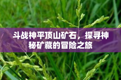 斗战神平顶山矿石,探寻神秘矿藏的冒险之旅 斗战神平顶山矿石,探寻神秘矿藏的冒险之旅