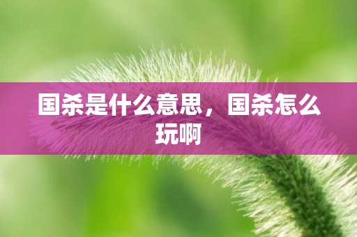 国杀是什么意思,国杀怎么玩啊 国杀是什么意思,国杀怎么玩啊