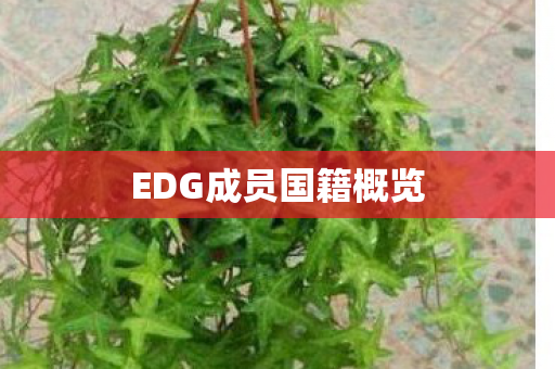 EDG成员国籍概览 EDG成员国籍概览