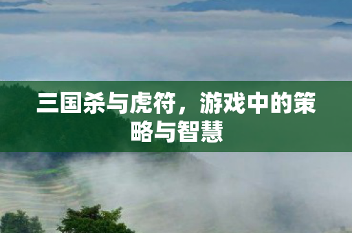 三国杀与虎符,游戏中的策略与智慧 三国杀与虎符,游戏中的策略与智慧
