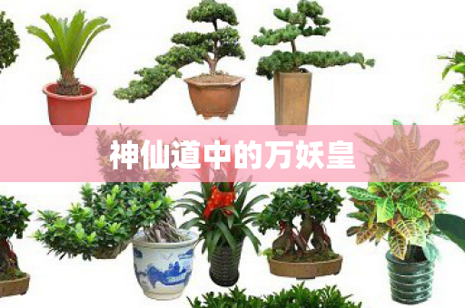 神仙道中的万妖皇 神仙道中的万妖皇