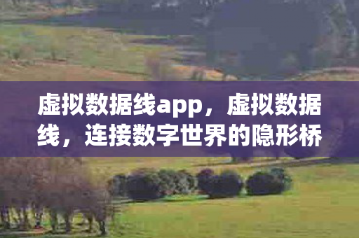 虚拟数据线app,虚拟数据线,连接数字世界的隐形桥梁 虚拟数据线app,虚拟数据线,连接数字世界的隐形桥梁