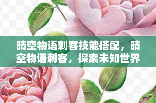 晴空物语刺客技能搭配,晴空物语刺客,探索未知世界的隐秘行者 晴空物语刺客技能搭配,晴空物语刺客,探索未知世界的隐秘行者