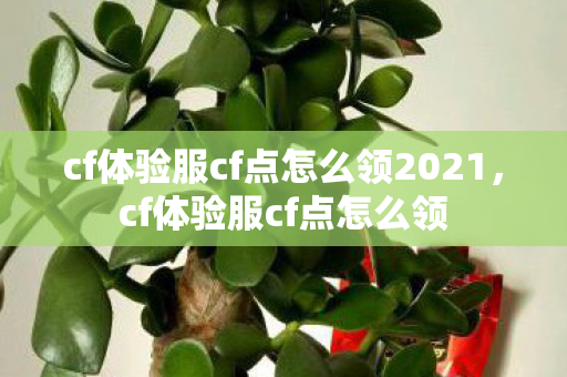 cf体验服cf点怎么领2021，cf体验服cf点怎么领