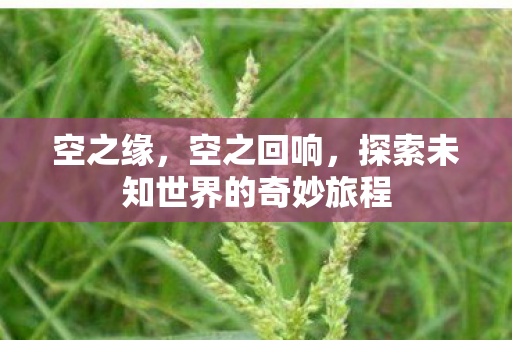 空之缘,空之回响,探索未知世界的奇妙旅程 空之缘,空之回响,探索未知世界的奇妙旅程