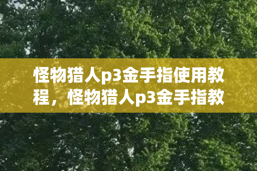 怪物猎人p3金手指使用教程,怪物猎人p3金手指教程,轻松解锁游戏乐趣 怪物猎人p3金手指使用教程,怪物猎人p3金手指教程,轻松解锁游戏乐趣