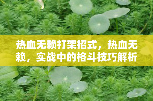 热血无赖打架招式，热血无赖，实战中的格斗技巧解析