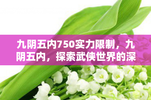 九阴五内750实力限制，九阴五内，探索武侠世界的深度与广度
