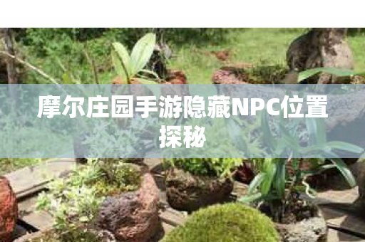 摩尔庄园手游隐藏NPC位置探秘 摩尔庄园手游隐藏NPC位置探秘