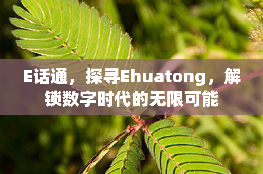 E话通,探寻Ehuatong,解锁数字时代的无限可能 E话通,探寻Ehuatong,解锁数字时代的无限可能