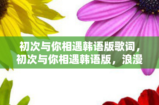 初次与你相遇韩语版歌词,初次与你相遇韩语版,浪漫邂逅的温馨回忆 初次与你相遇韩语版歌词,初次与你相遇韩语版,浪漫邂逅的温馨回忆
