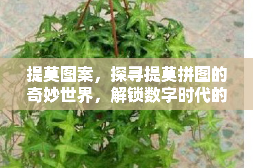 提莫图案，探寻提莫拼图的奇妙世界，解锁数字时代的智力挑战