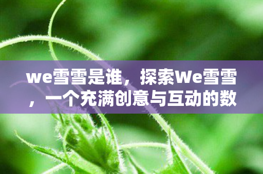 we雪雪是谁,探索We雪雪,一个充满创意与互动的数字娱乐平台 we雪雪是谁,探索We雪雪,一个充满创意与互动的数字娱乐平台