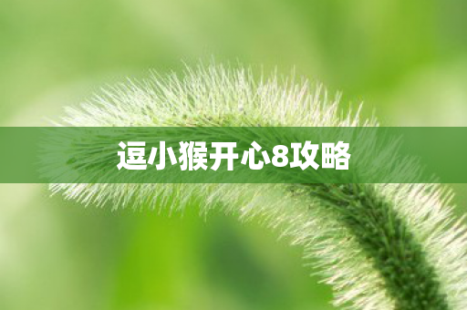 逗小猴开心8攻略 逗小猴开心8攻略