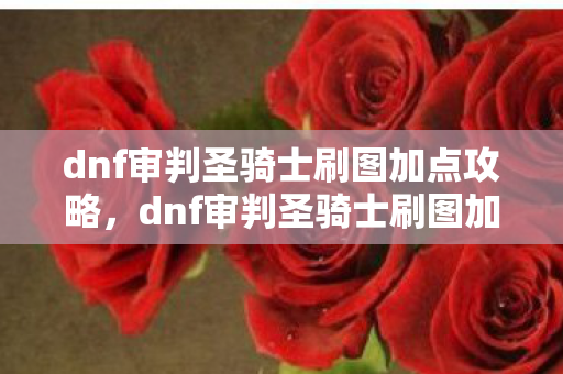 dnf审判圣骑士刷图加点攻略,dnf审判圣骑士刷图加点攻略 dnf审判圣骑士刷图加点攻略,dnf审判圣骑士刷图加点攻略