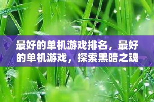 最好的单机游戏排名,最好的单机游戏,探索黑暗之魂3的深度魅力 最好的单机游戏排名,最好的单机游戏,探索黑暗之魂3的深度魅力