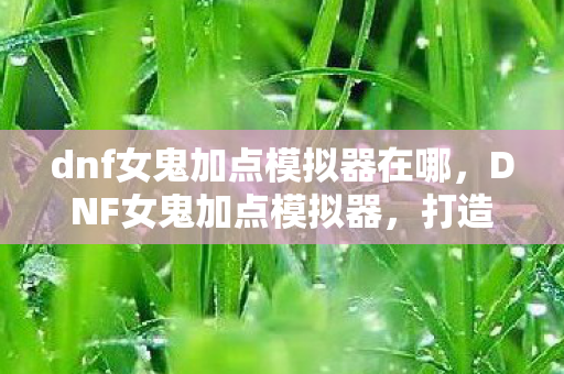 dnf女鬼加点模拟器在哪，DNF女鬼加点模拟器，打造个性化战斗风格