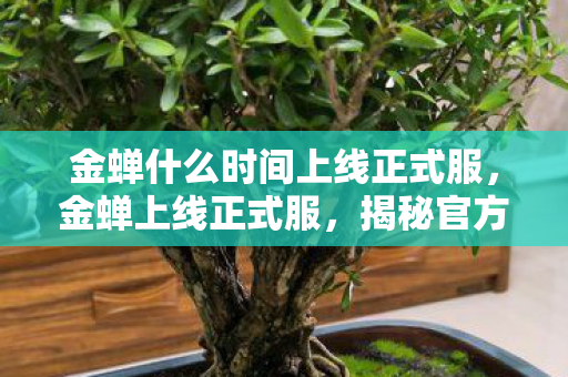 金蝉什么时间上线正式服,金蝉上线正式服,揭秘官方发布时间与玩家期待 金蝉什么时间上线正式服,金蝉上线正式服,揭秘官方发布时间与玩家期待