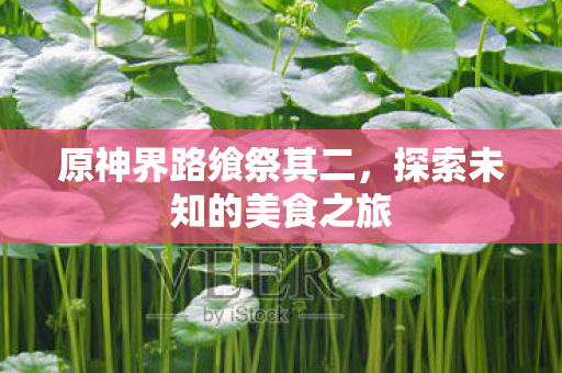 原神界路飨祭其二,探索未知的美食之旅 原神界路飨祭其二,探索未知的美食之旅