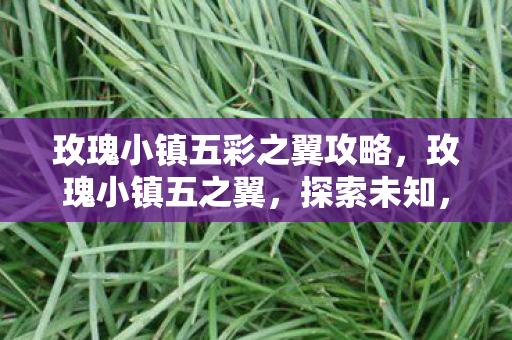 玫瑰小镇五彩之翼攻略，玫瑰小镇五之翼，探索未知，翱翔天际